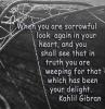 Gibran quote.jpg